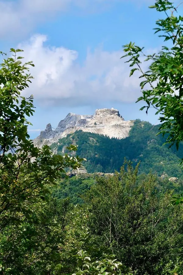 Casa vacanze Casa del Geco - la natura intorno a te Camaiore Italia