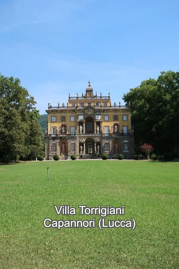 Casa vacanze Casa del Geco - la natura intorno a te Camaiore